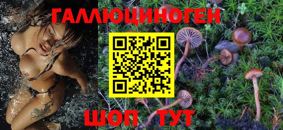 Псилоцибиновые грибы GOLDEN TEACHER  Вход с VPN  Бугуруслан 
